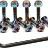 Hex Screw Set Ever Hardware Multi Colored-1